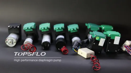 High Performance 6V 12V or 24V Air Pump (DC Brush motor)