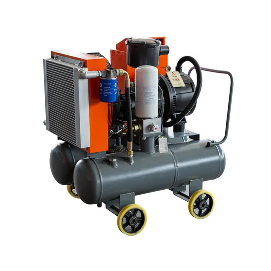 China Factory Compact Smart Low Price Electric Portable Screw Air Compressor 22kw 8bar with Double Tanks 