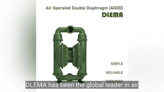 Clamped Metal Air Diaphragm Pump for Long